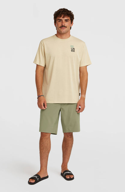 Men Hybrid 19" Shorts