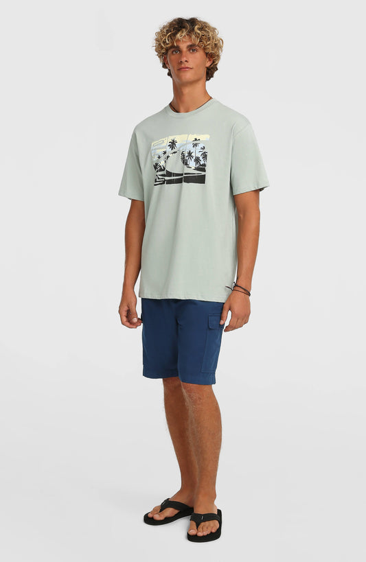 Men O’Neill Essentials Ripstop Cargo Shorts