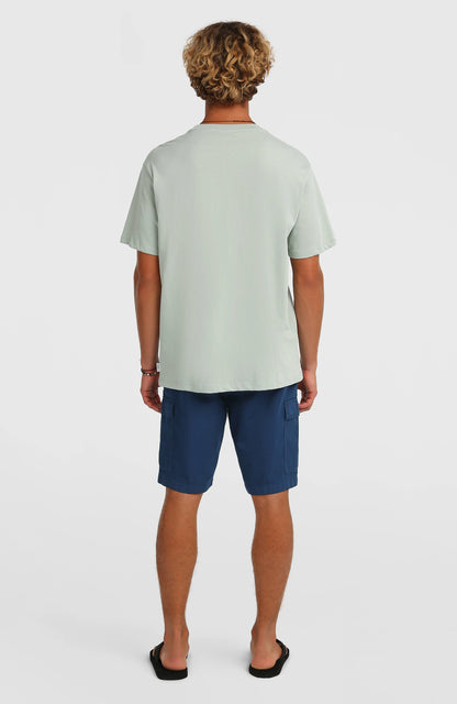 Men O’Neill Essentials Ripstop Cargo Shorts