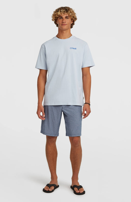 Men Hybrid 19" Melange Shorts
