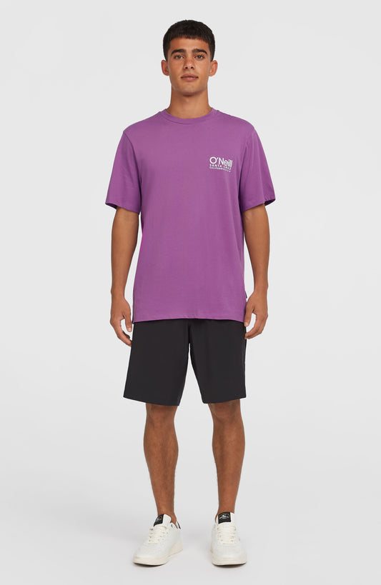 Men Hybrid Chino 19" Shorts