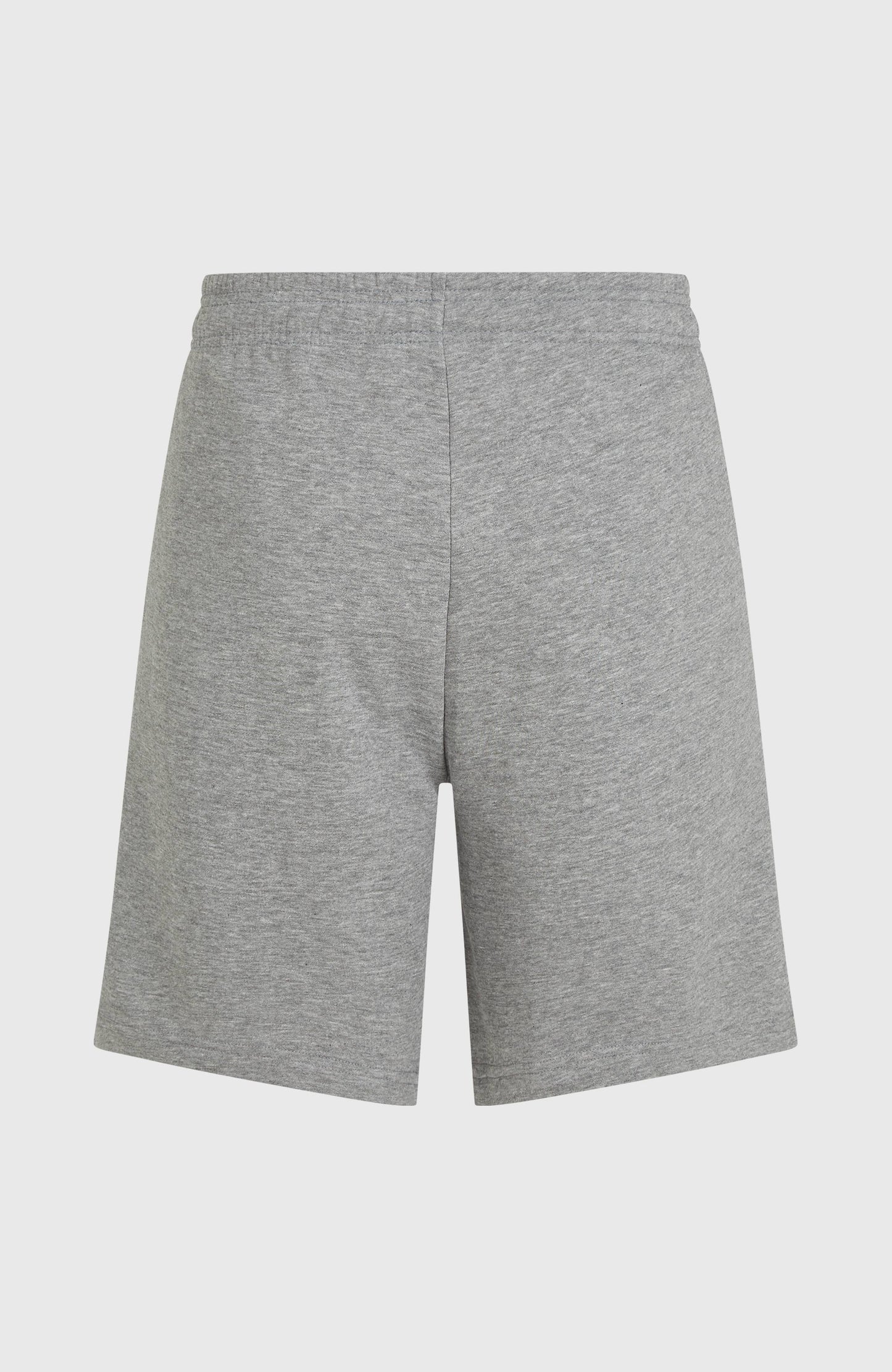 Men Future Surf Society Shorts
