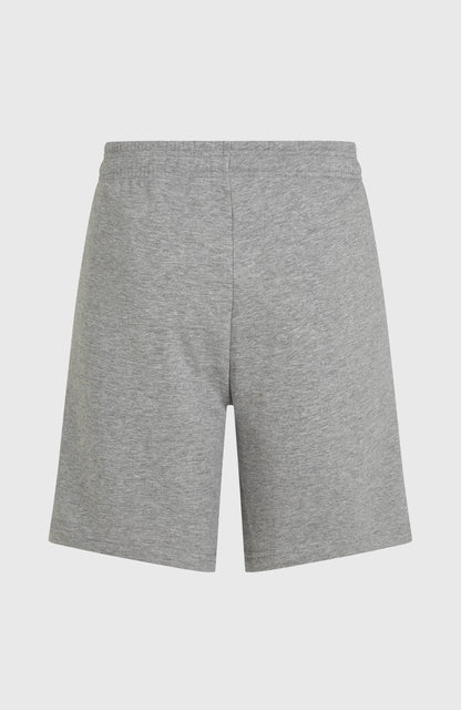 Men Future Surf Society Shorts