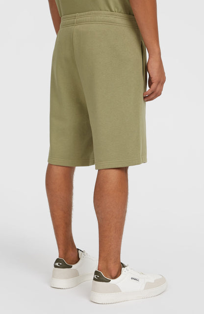 Men Future Surf Society Shorts