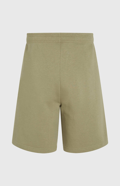 Men Future Surf Society Shorts