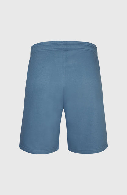 Men Future Surf Society Shorts