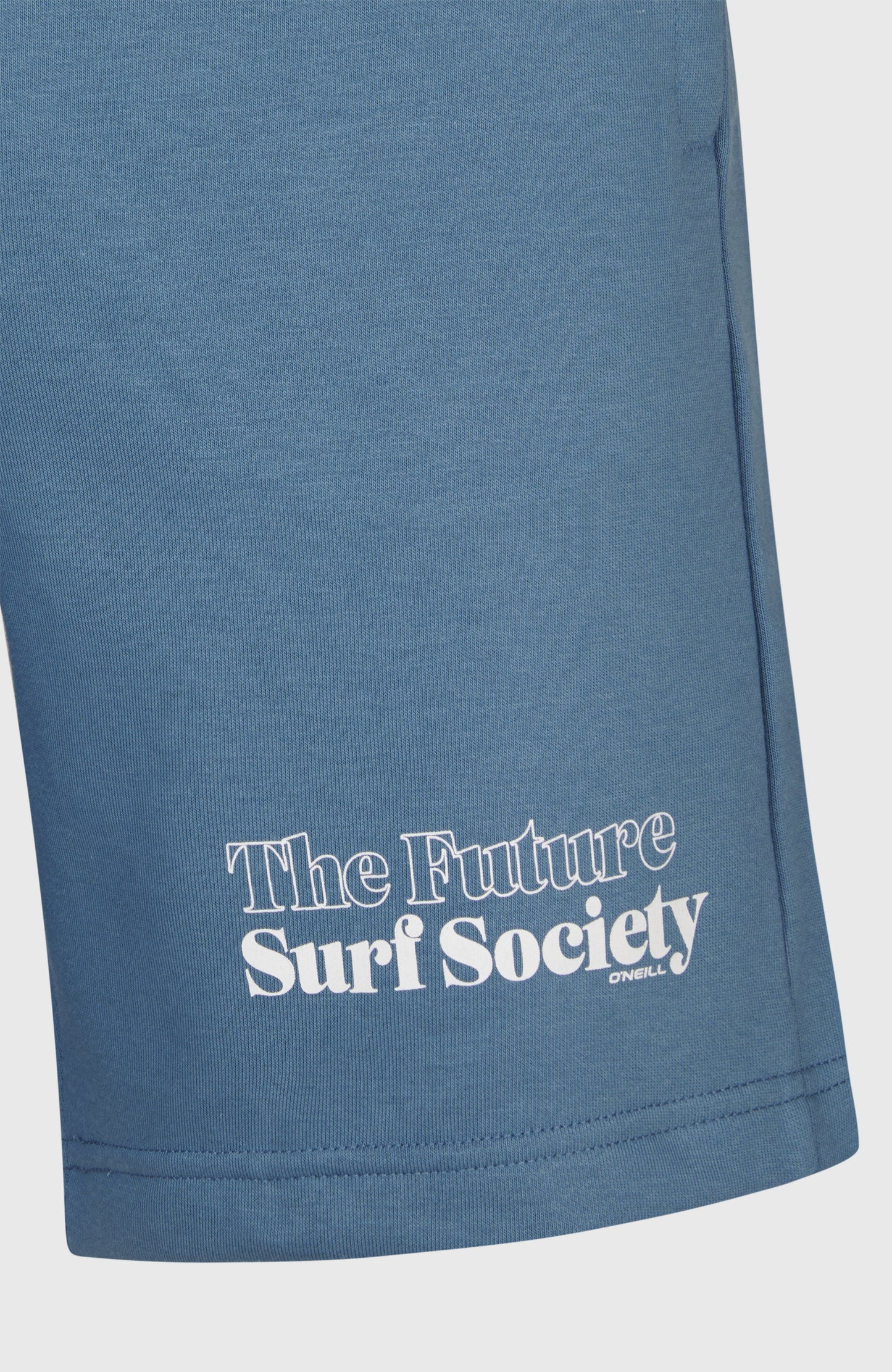 Men Future Surf Society Shorts