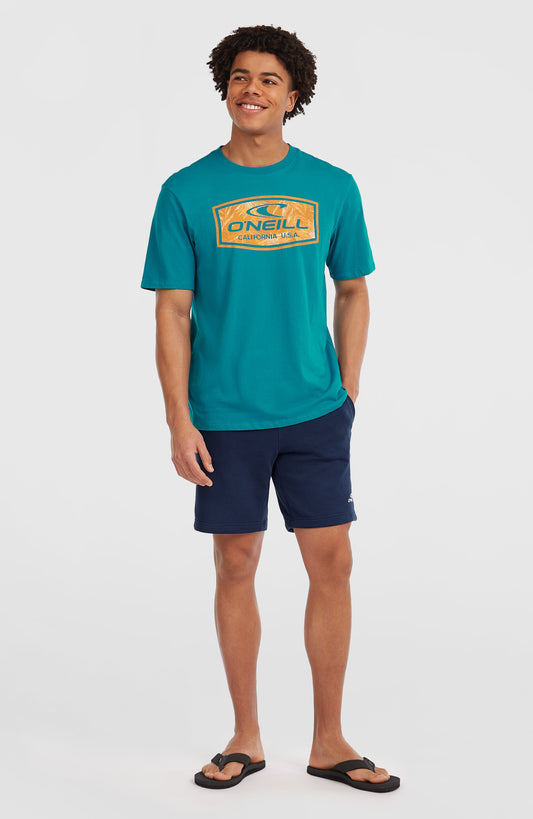 Men Small Logo Sweatshorts