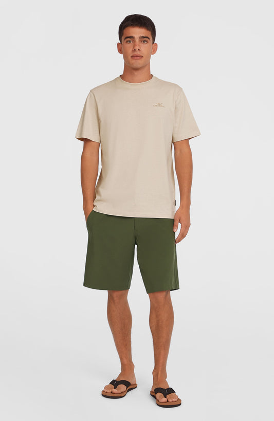 Men Hybrid Chino 19" Shorts