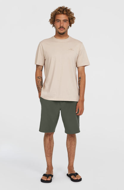 Men Hybrid Chino 19" Shorts