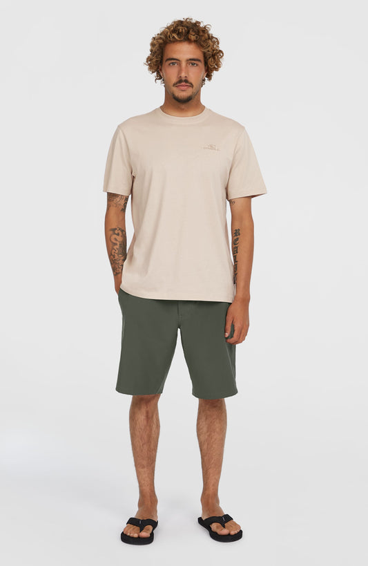 Men Hybrid Chino 19" Shorts