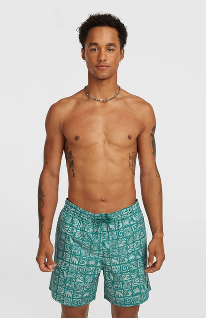 Men O'Neill Print 16'' Swimshorts