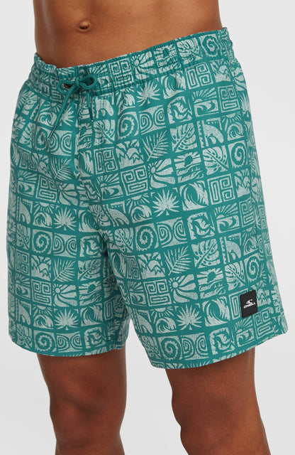 Men O'Neill Print 16'' Swimshorts