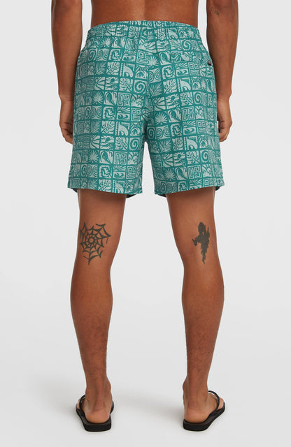 Men O'Neill Print 16'' Swimshorts