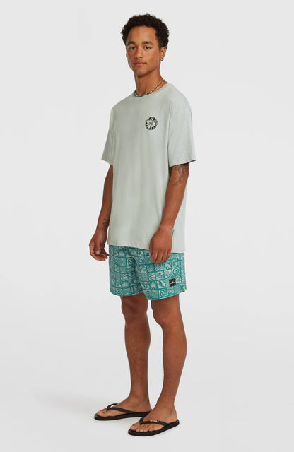 Men O'Neill Print 16'' Swimshorts