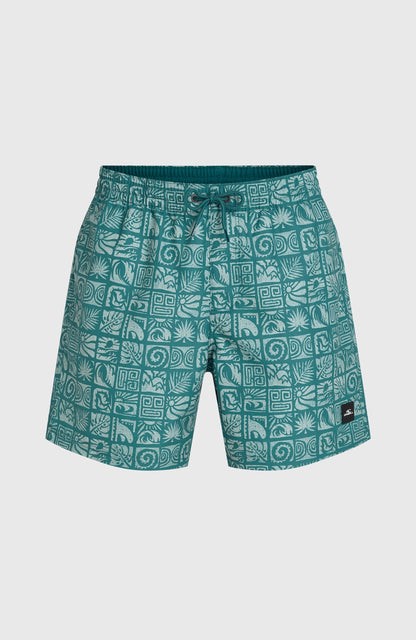 Men O'Neill Print 16'' Swimshorts