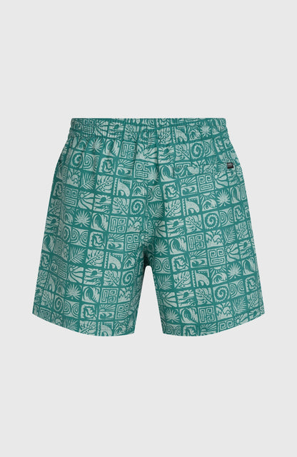 Men O'Neill Print 16'' Swimshorts