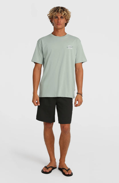 Men O'Neill Retro 19'' Swimshorts