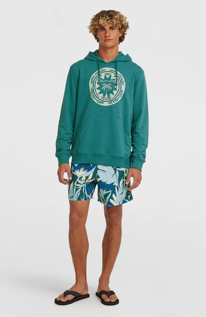 Men O'Neill Print 16'' Swimshorts
