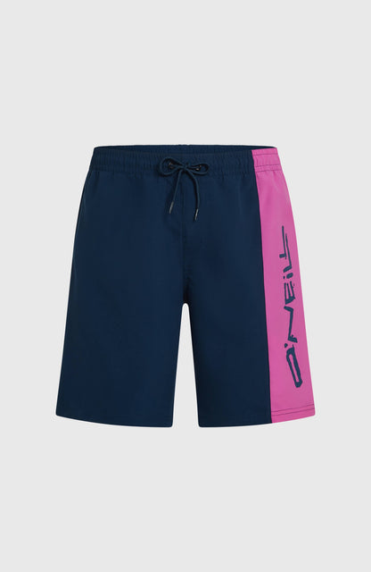 Men O'Neill Retro 19'' Swimshorts
