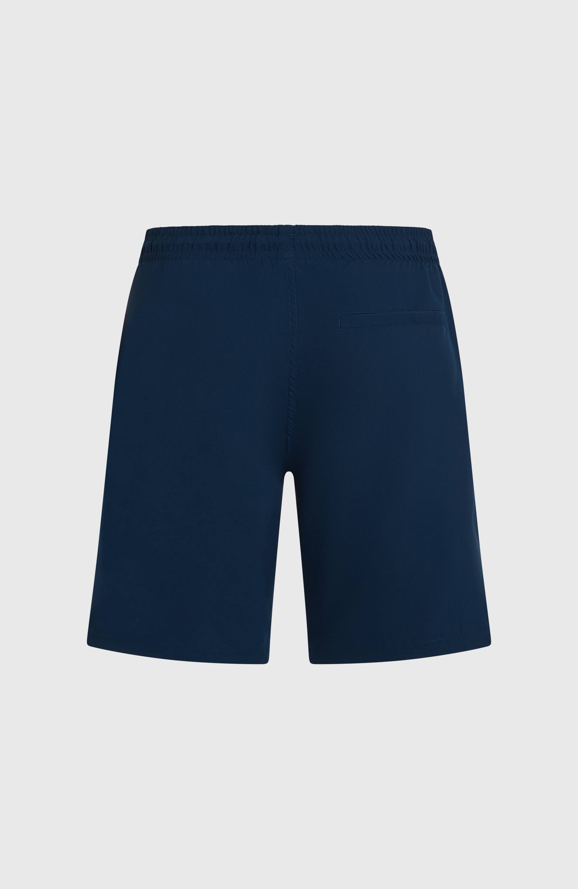 Men O'Neill Retro 19'' Swimshorts