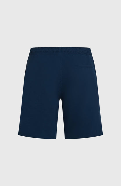 Men O'Neill Retro 19'' Swimshorts