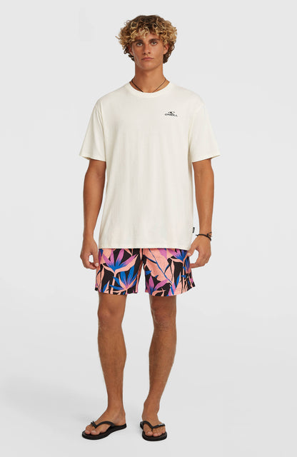 Men O'Neill Print 16'' Swimshorts