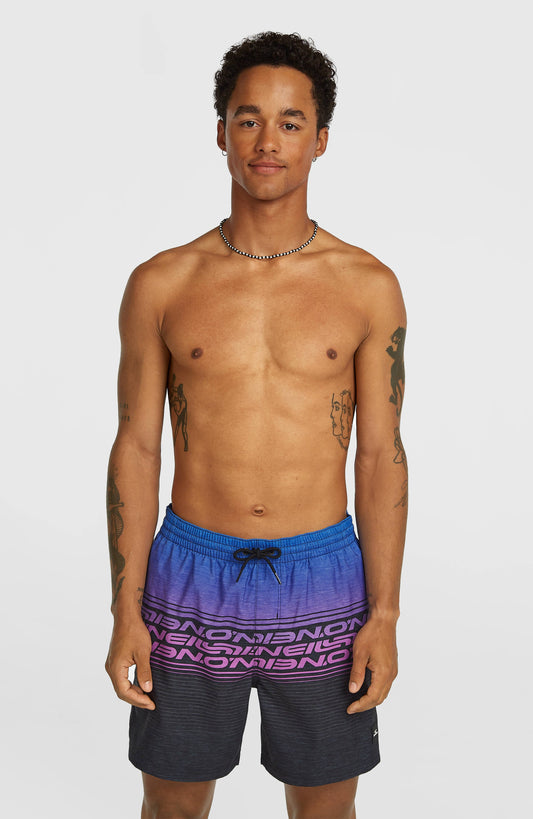 Men Logo Stripe 16'' Swimshorts