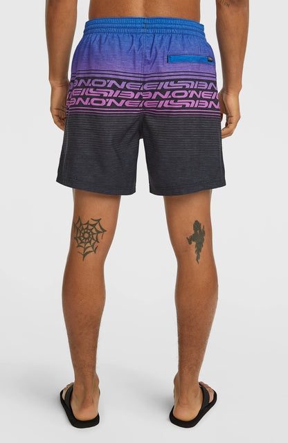 Men Logo Stripe 16'' Swimshorts