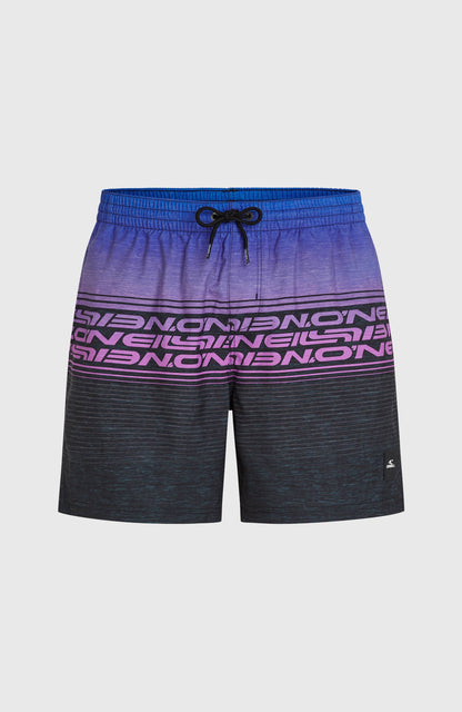 Men Logo Stripe 16'' Swimshorts