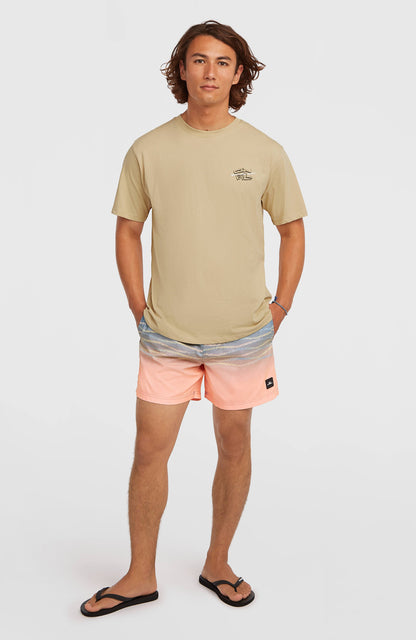 Men O'Neill First 15'' Swimshorts