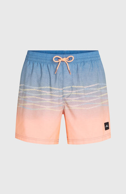 Men O'Neill First 15'' Swimshorts
