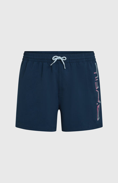 Men Retro 14'' Swimshorts