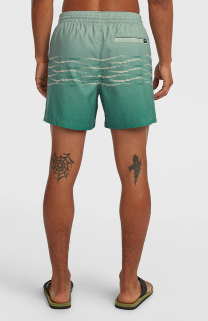 Men O'Neill First 15'' Swimshorts