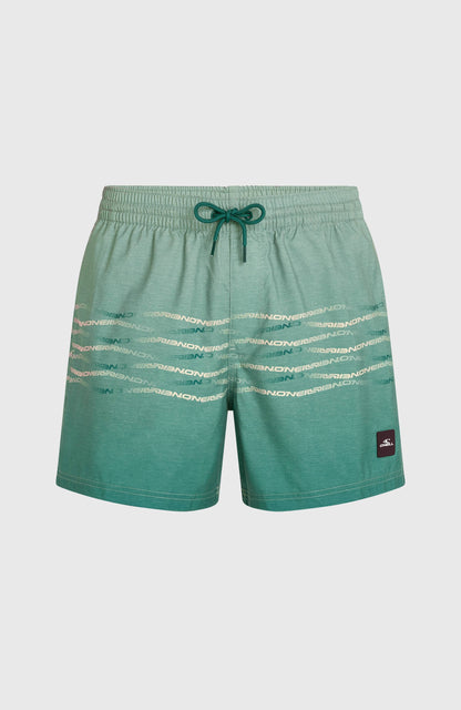 Men O'Neill First 15'' Swimshorts
