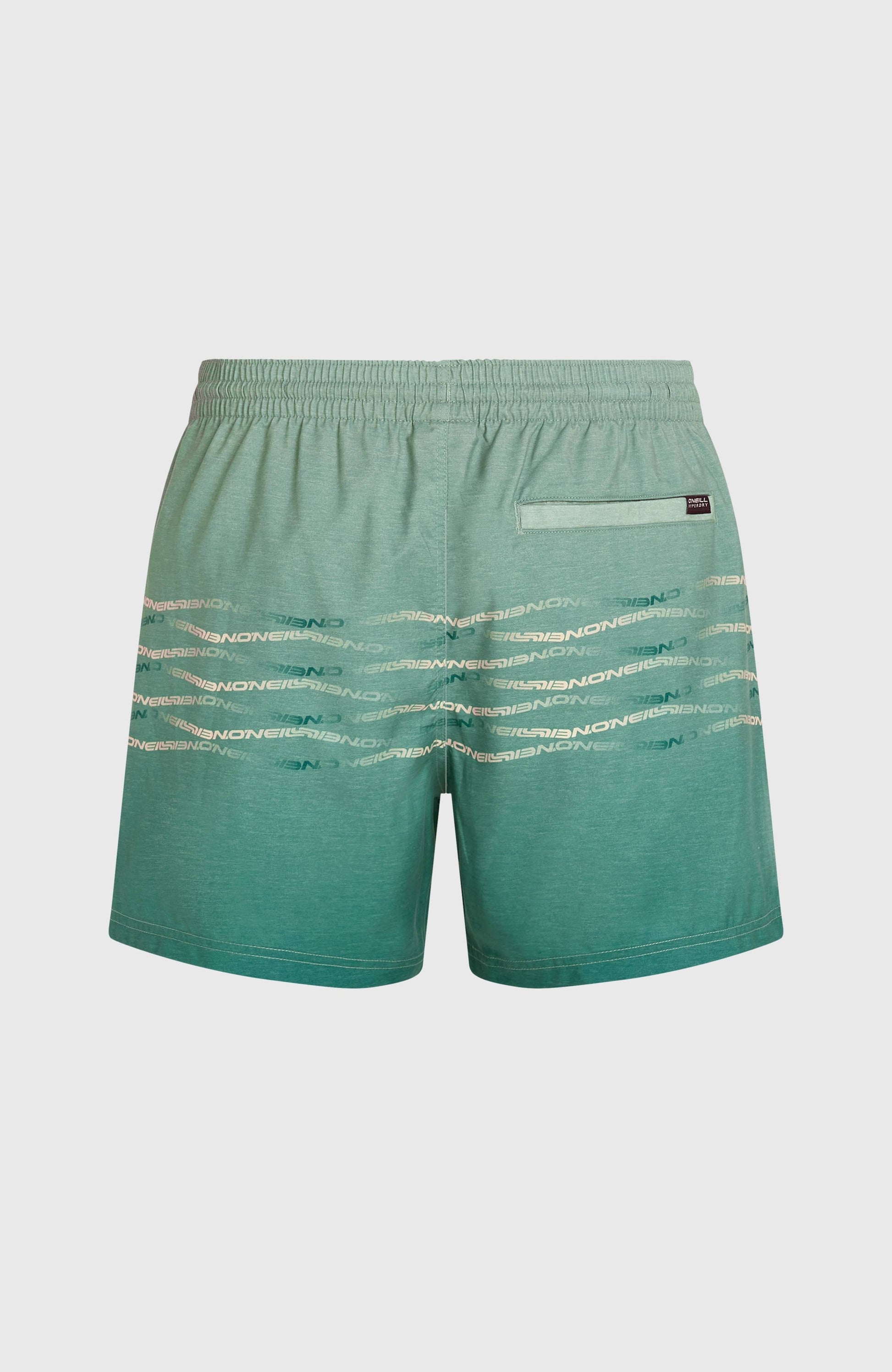 Men O'Neill First 15'' Swimshorts
