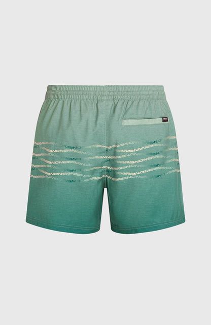 Men O'Neill First 15'' Swimshorts