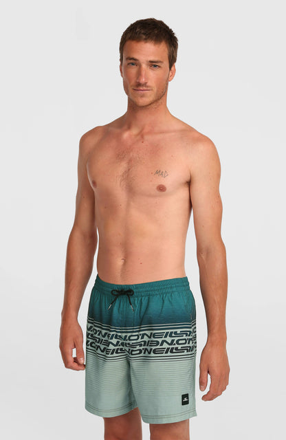 Men Logo Stripe 16'' Swimshorts