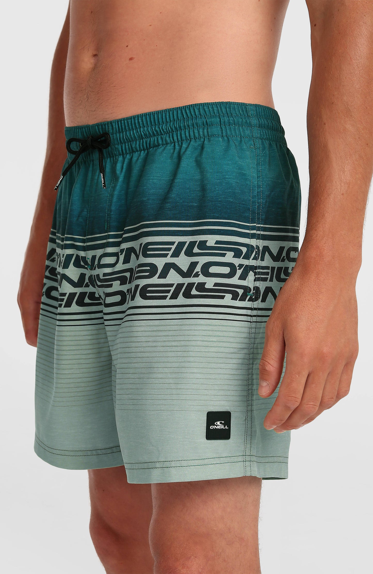 Men Logo Stripe 16'' Swimshorts