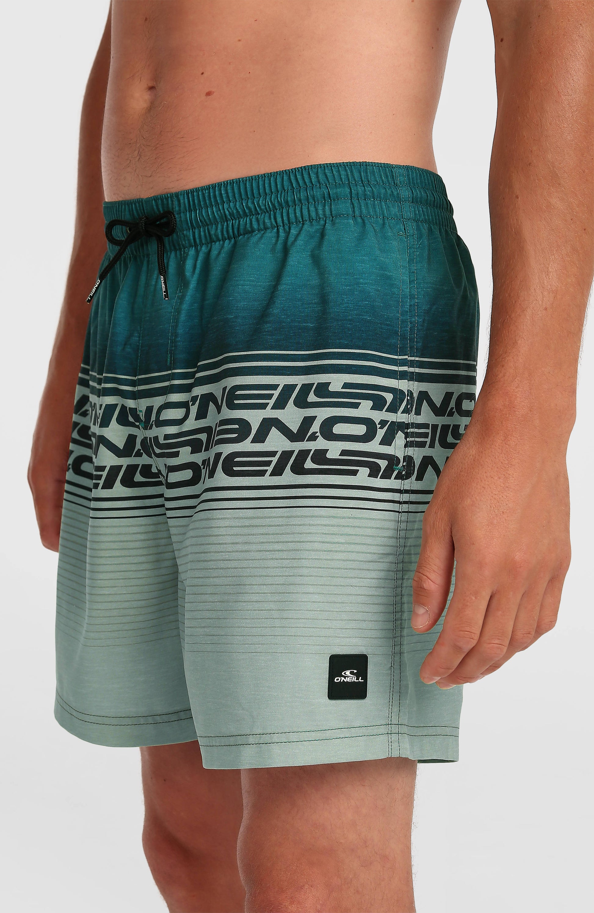 Men Logo Stripe 16'' Swimshorts