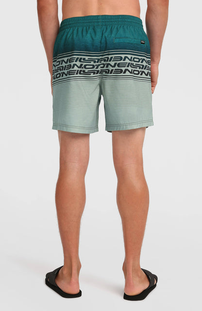 Men Logo Stripe 16'' Swimshorts