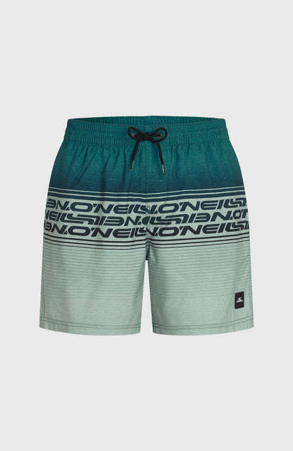 Men Logo Stripe 16'' Swimshorts