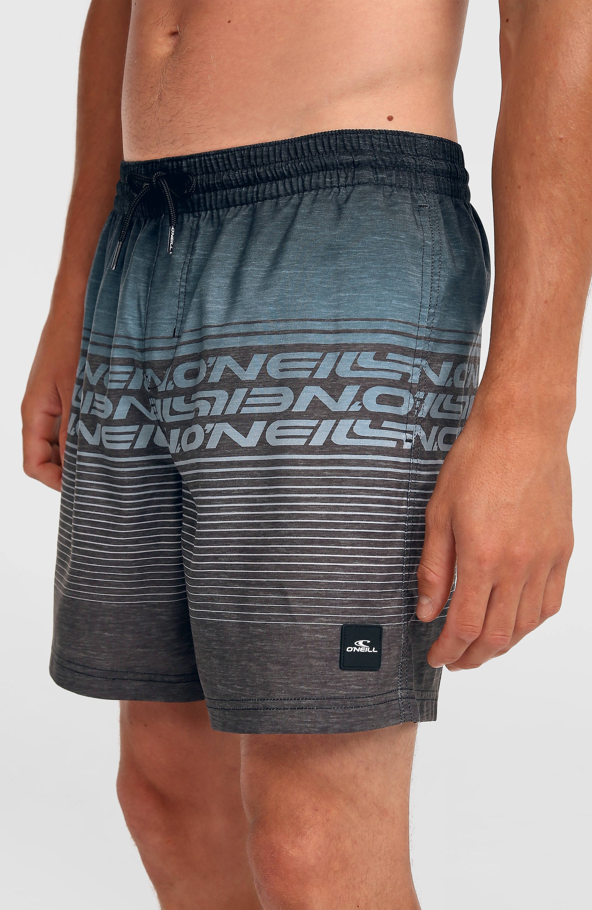 Men Logo Stripe 16'' Swimshorts