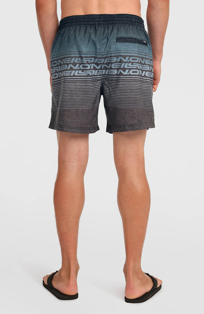 Men Logo Stripe 16'' Swimshorts