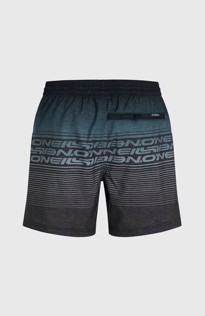 Men Logo Stripe 16'' Swimshorts