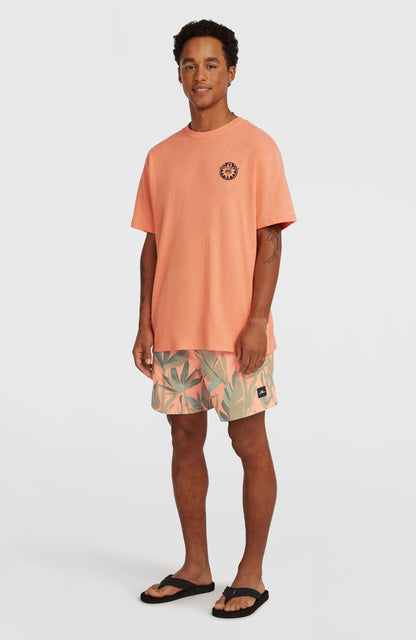 Men O'Neill Print 16'' Swimshorts