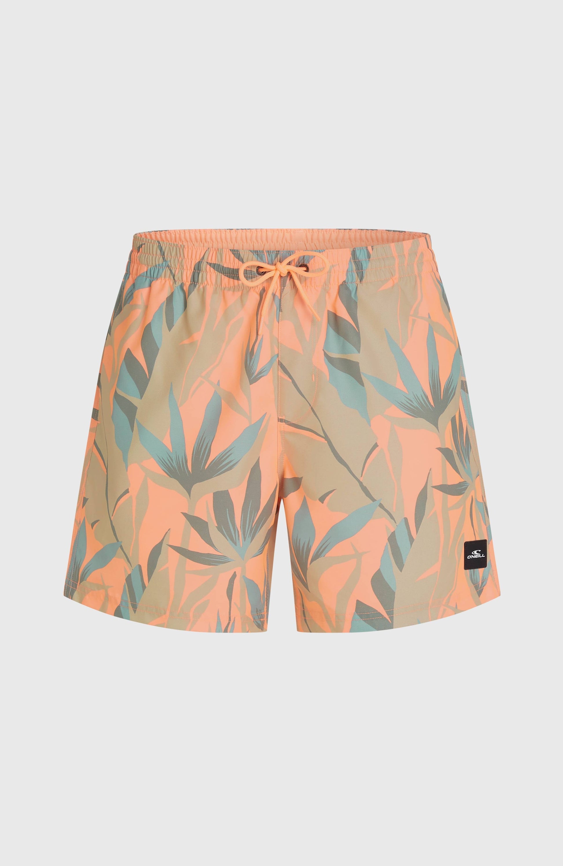 Men O'Neill Print 16'' Swimshorts
