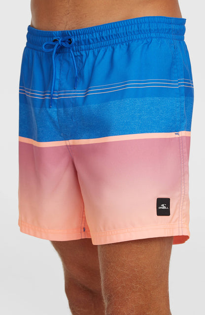Men O’Neill Gradient 15'' Swimshorts