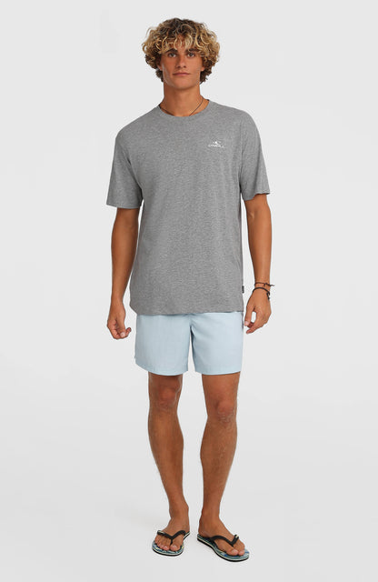 Men O'Neill Vert 16'' Swimshorts