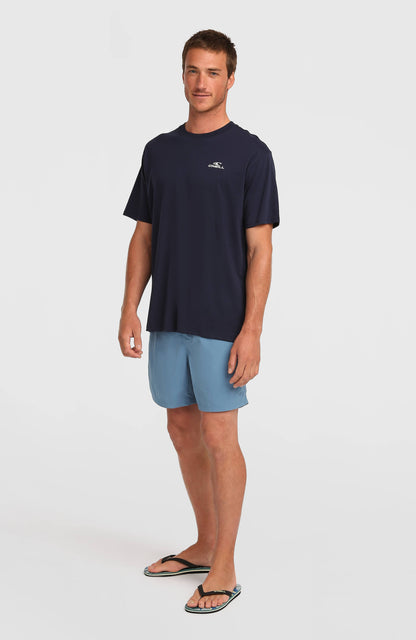 Men O'Neill Vert 16'' Swimshorts